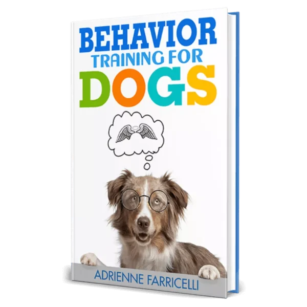 Your Dog’s Potential with Brain Training 4 Dogs