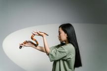 What Are Some Effective Strategies for Overcoming Procrastination?